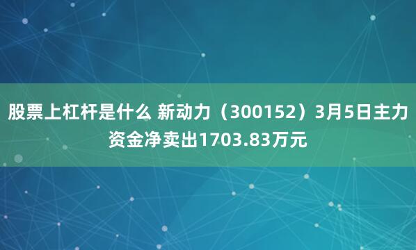 股票上杠杆是什么 新动力（300152）3月5日主力资金净卖出1703.83万元