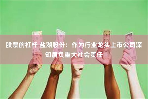 股票的杠杆 盐湖股份：作为行业龙头上市公司深知肩负重大社会责任