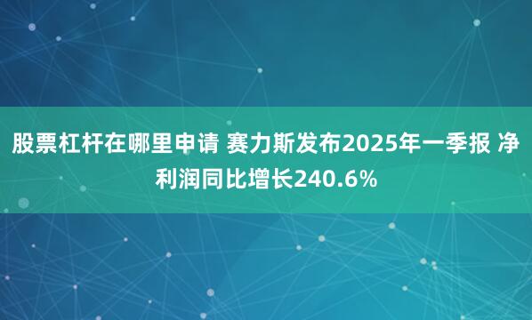 股票杠杆在哪里申请 赛力斯发布2025年一季报 净利润同比增长240.6%
