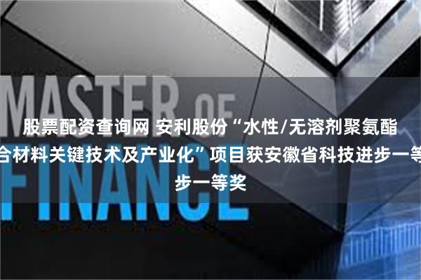 股票配资查询网 安利股份“水性/无溶剂聚氨酯复合材料关键技术及产业化”项目获安徽省科技进步一等奖