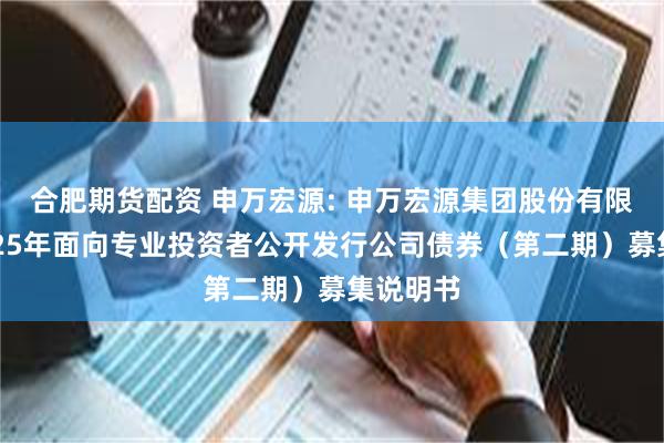 合肥期货配资 申万宏源: 申万宏源集团股份有限公司2025年面向专业投资者公开发行公司债券(第二期)募集说明书