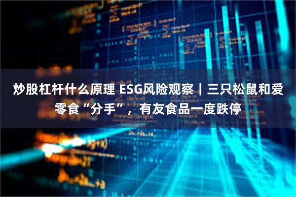 炒股杠杆什么原理 ESG风险观察｜三只松鼠和爱零食“分手”，有友食品一度跌停